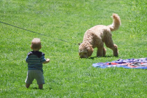 子どもと犬 | レイキのすべて